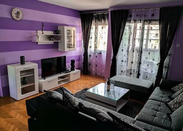 Apartment Branka
