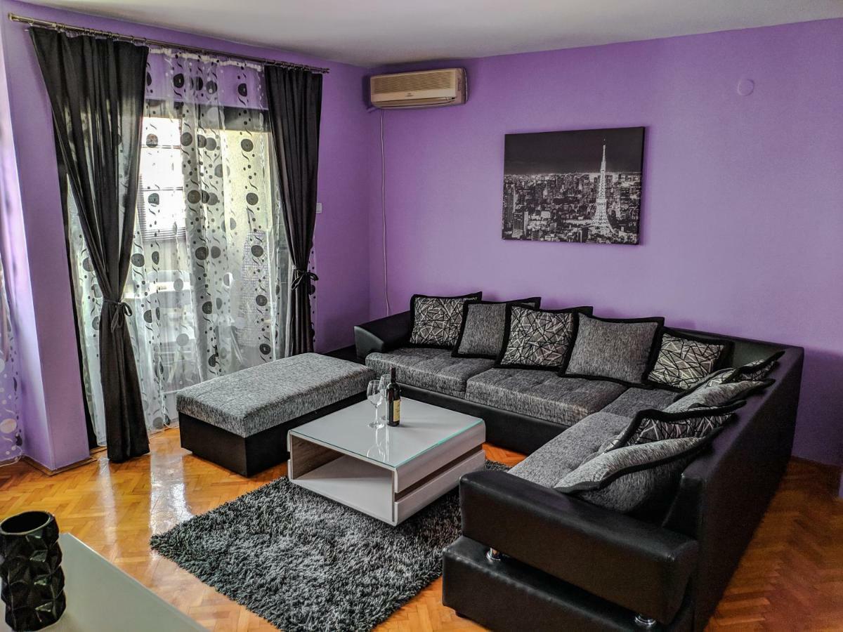 Apartment Branka *
