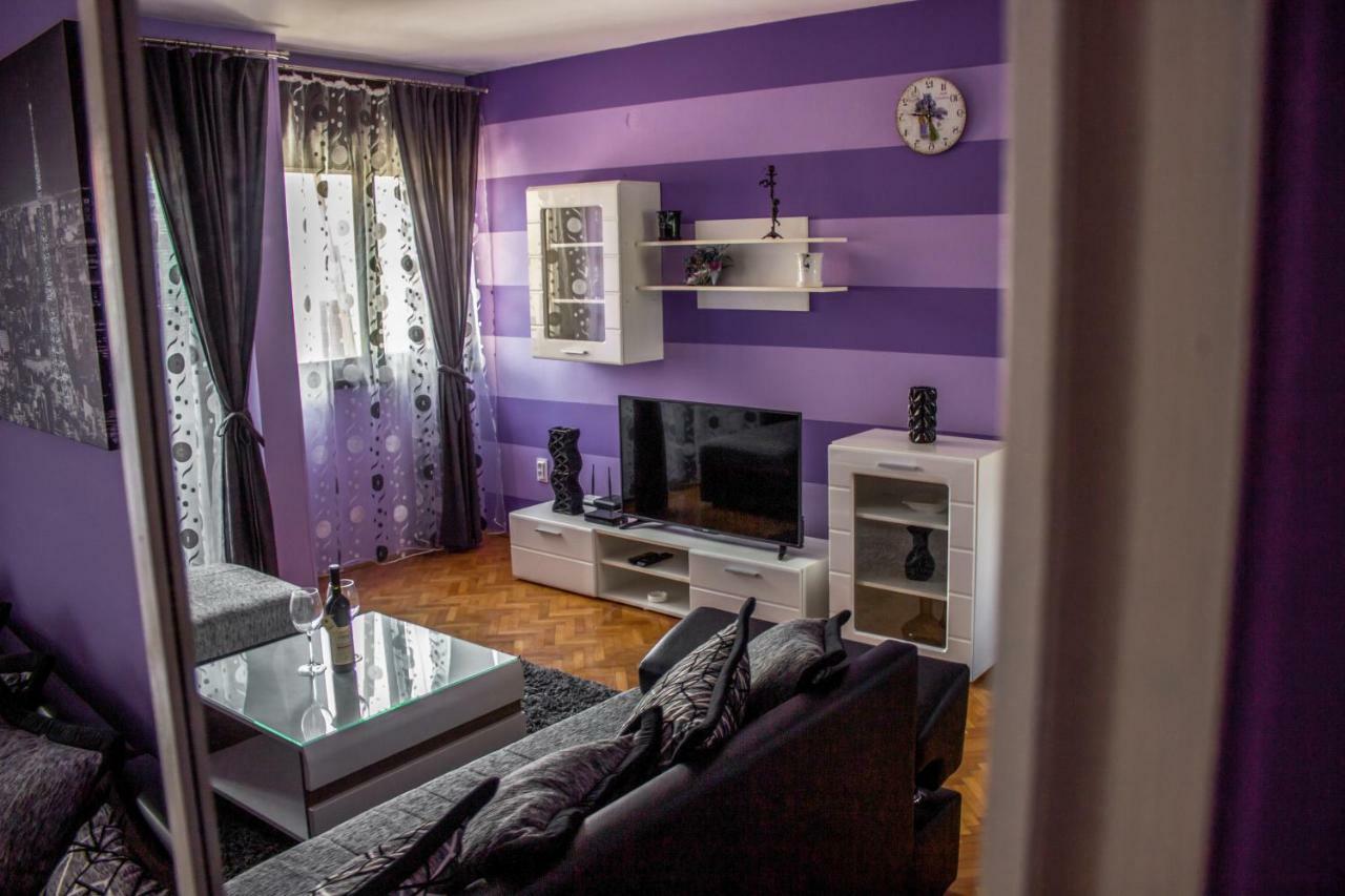 Apartment Branka *