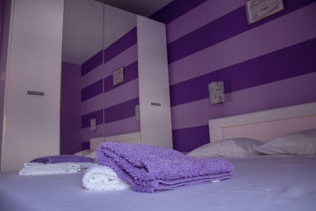 Apartment Branka *